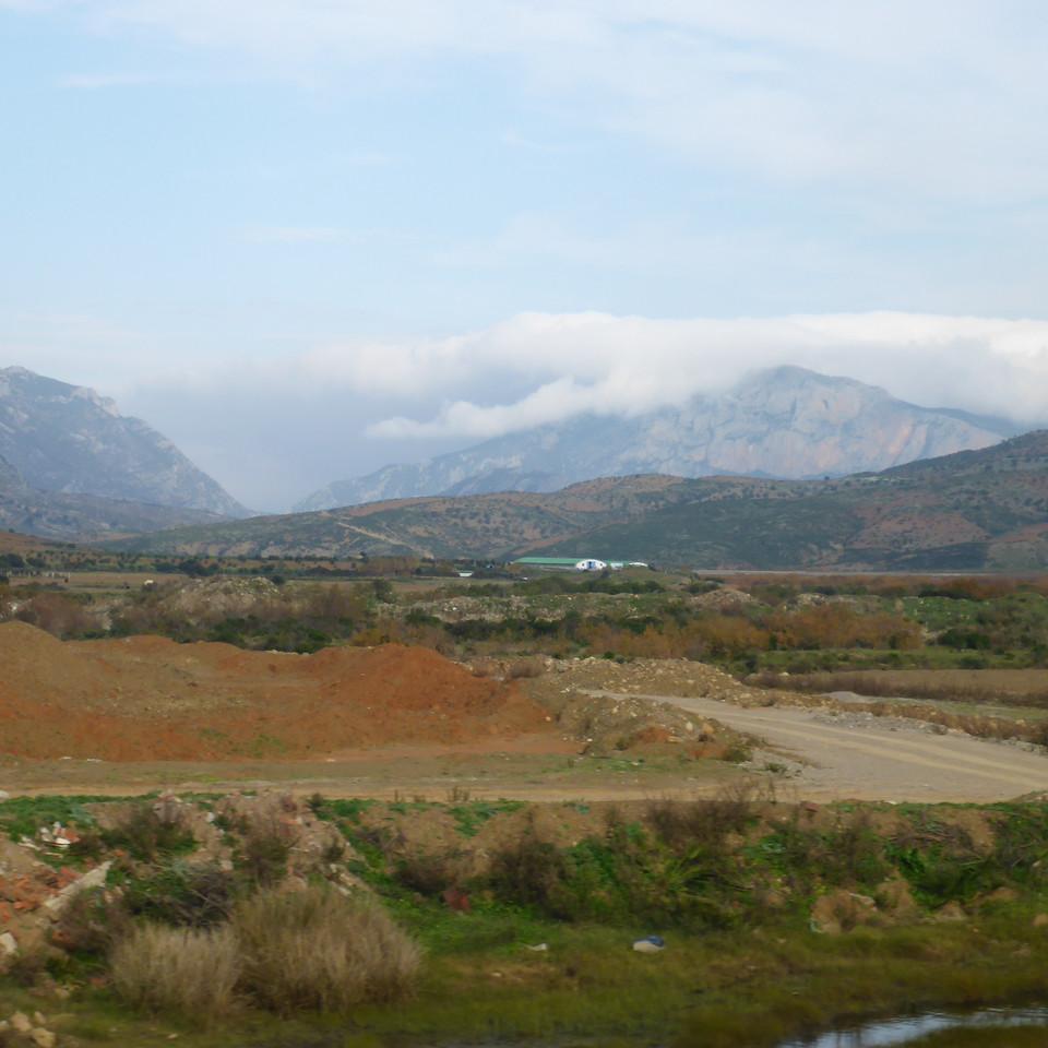 115.JPG