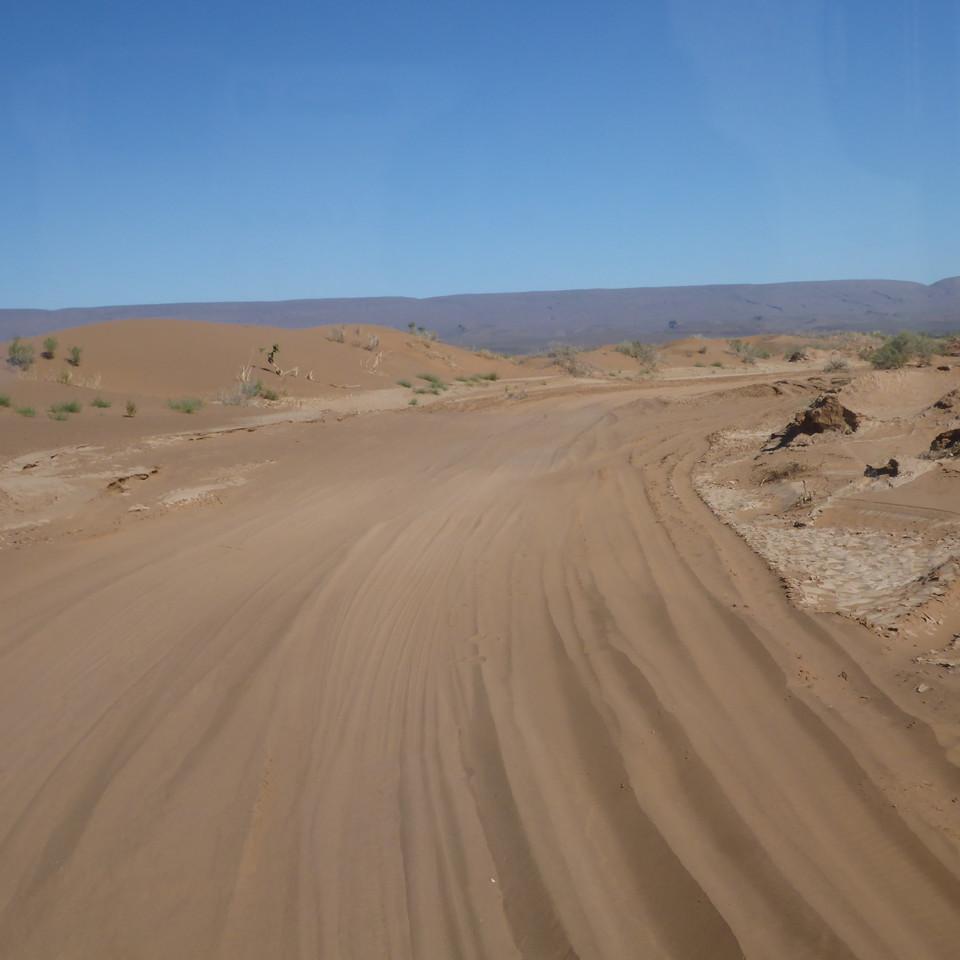 1151.JPG