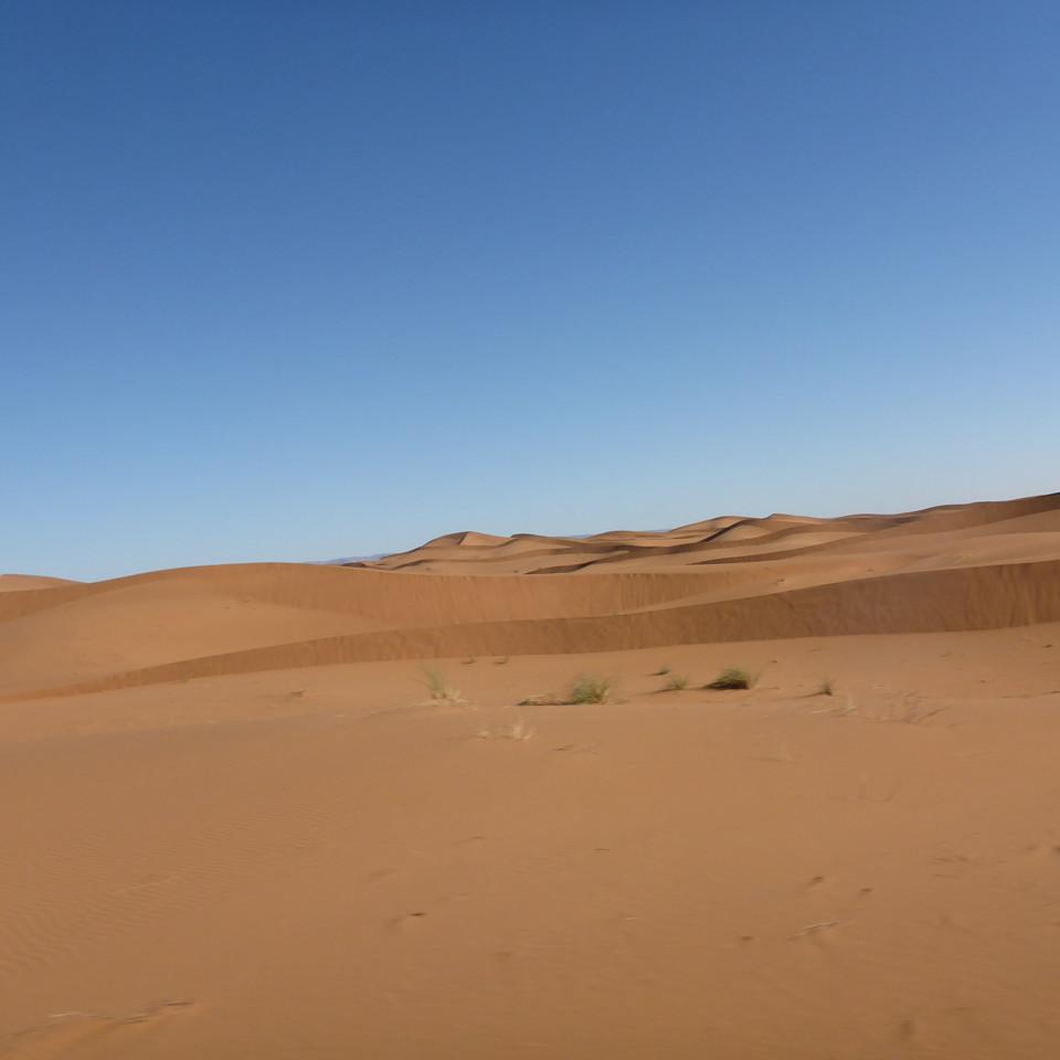 1165.JPG