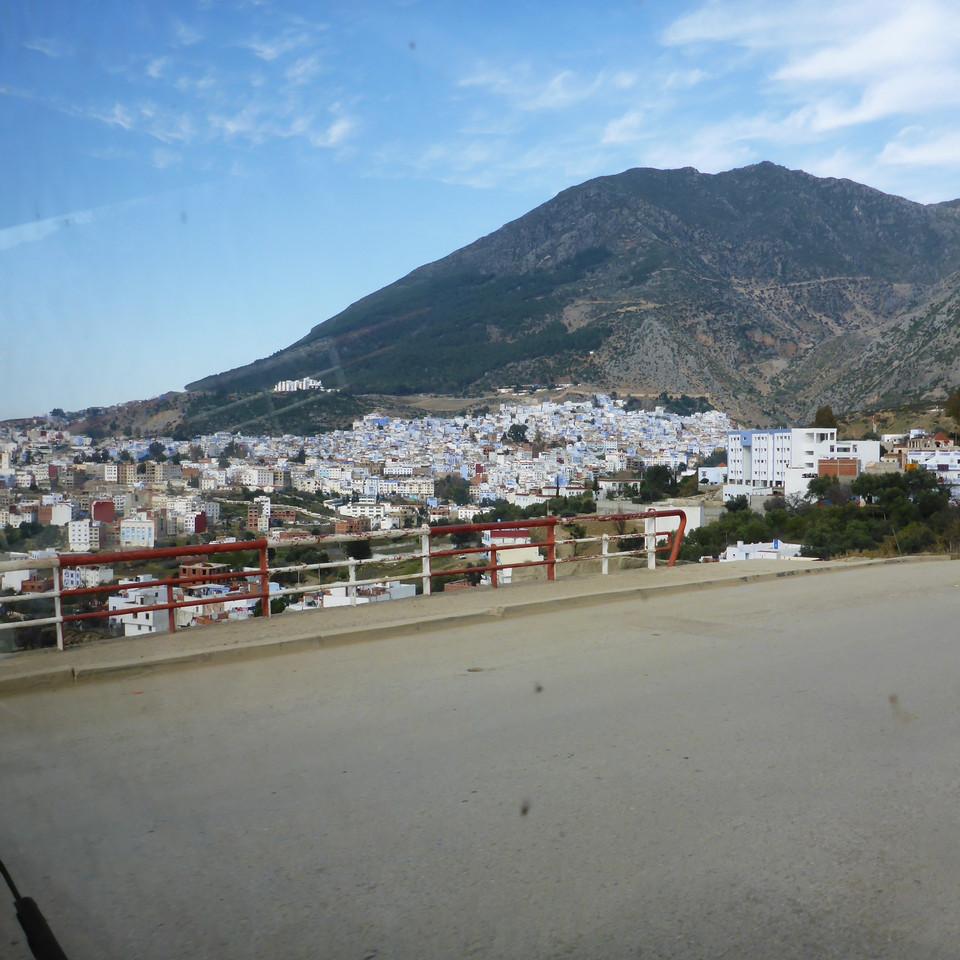 117.JPG