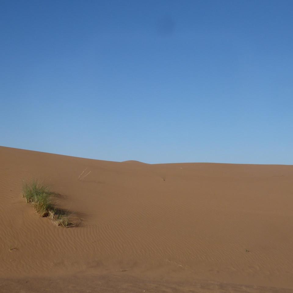 1170.JPG