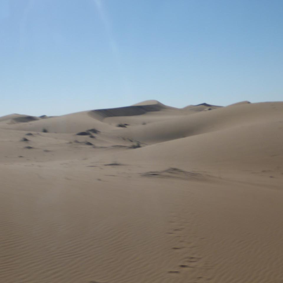 1173.JPG