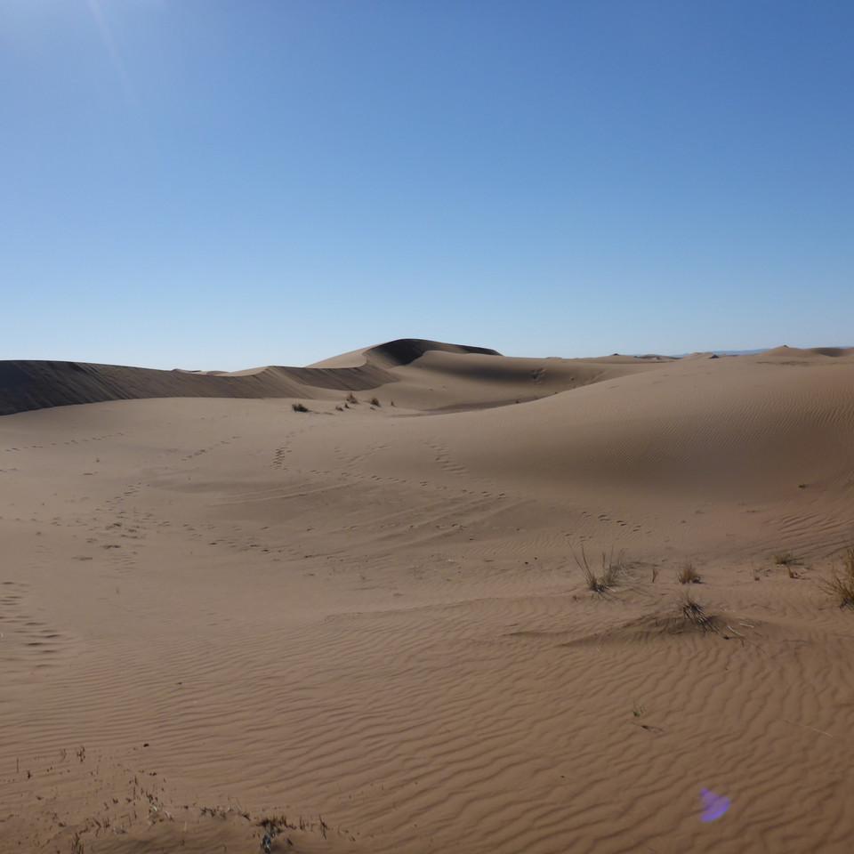 1175.JPG