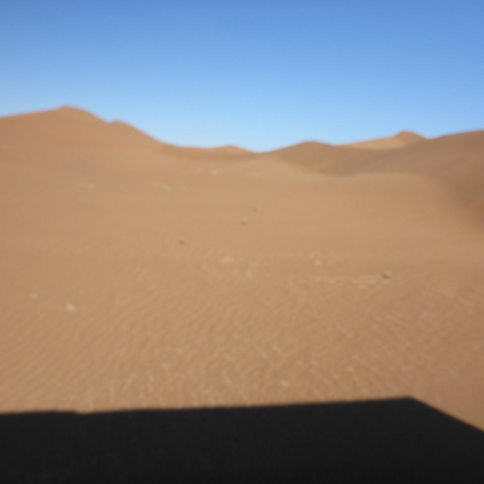 1178.JPG