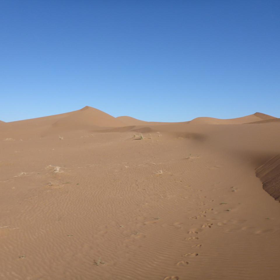 1179.JPG