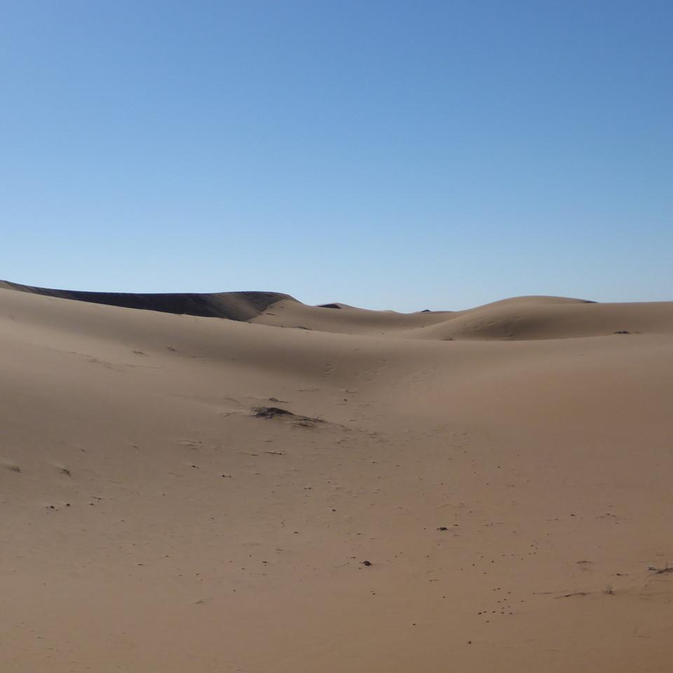 1183.JPG