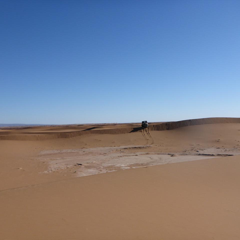 1184.JPG