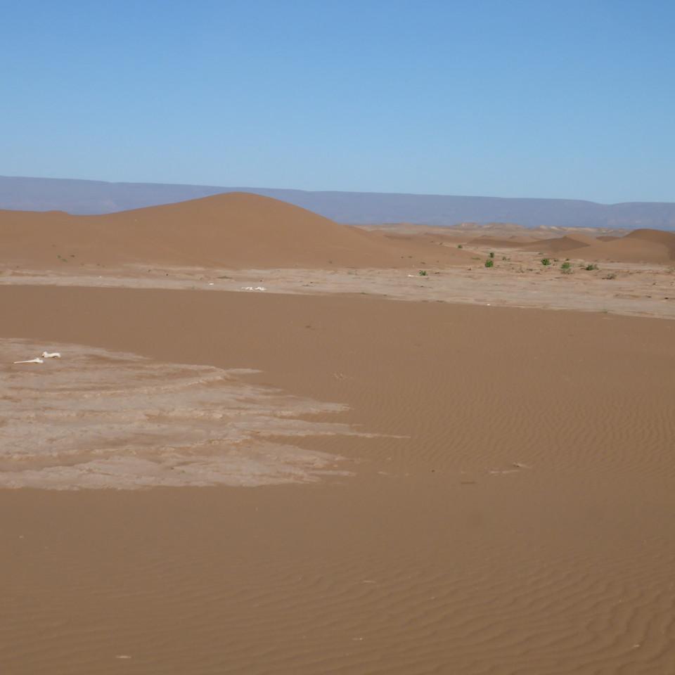1189.JPG
