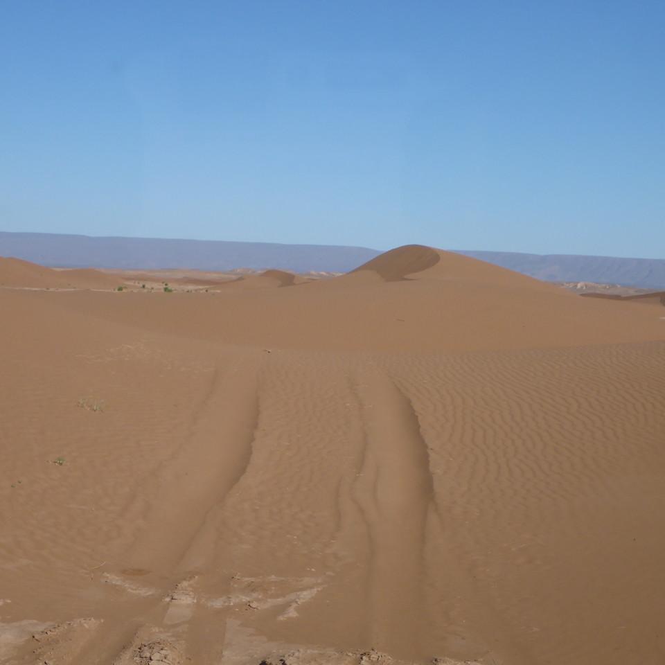 1190.JPG