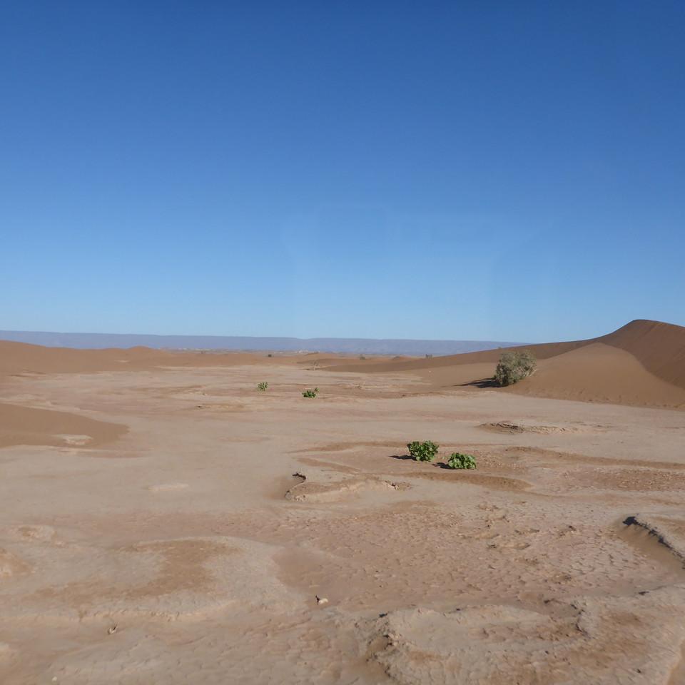 1194.JPG