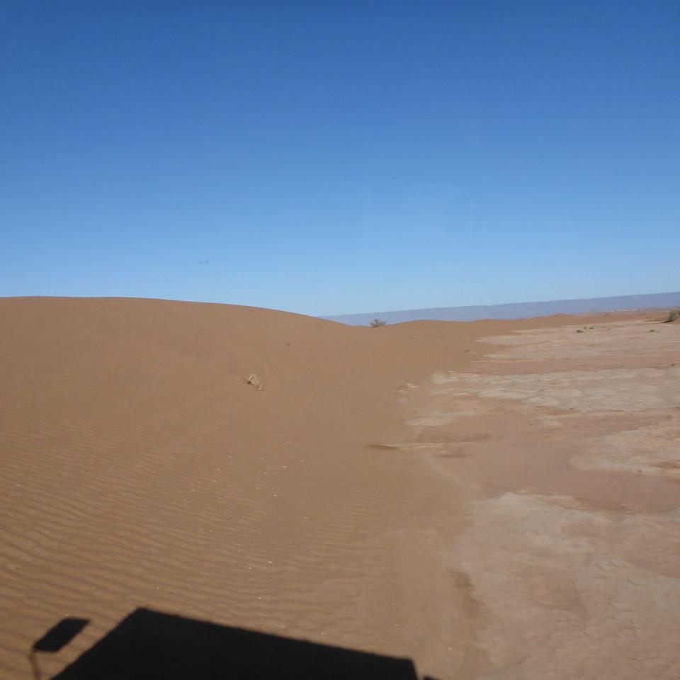 1195.JPG