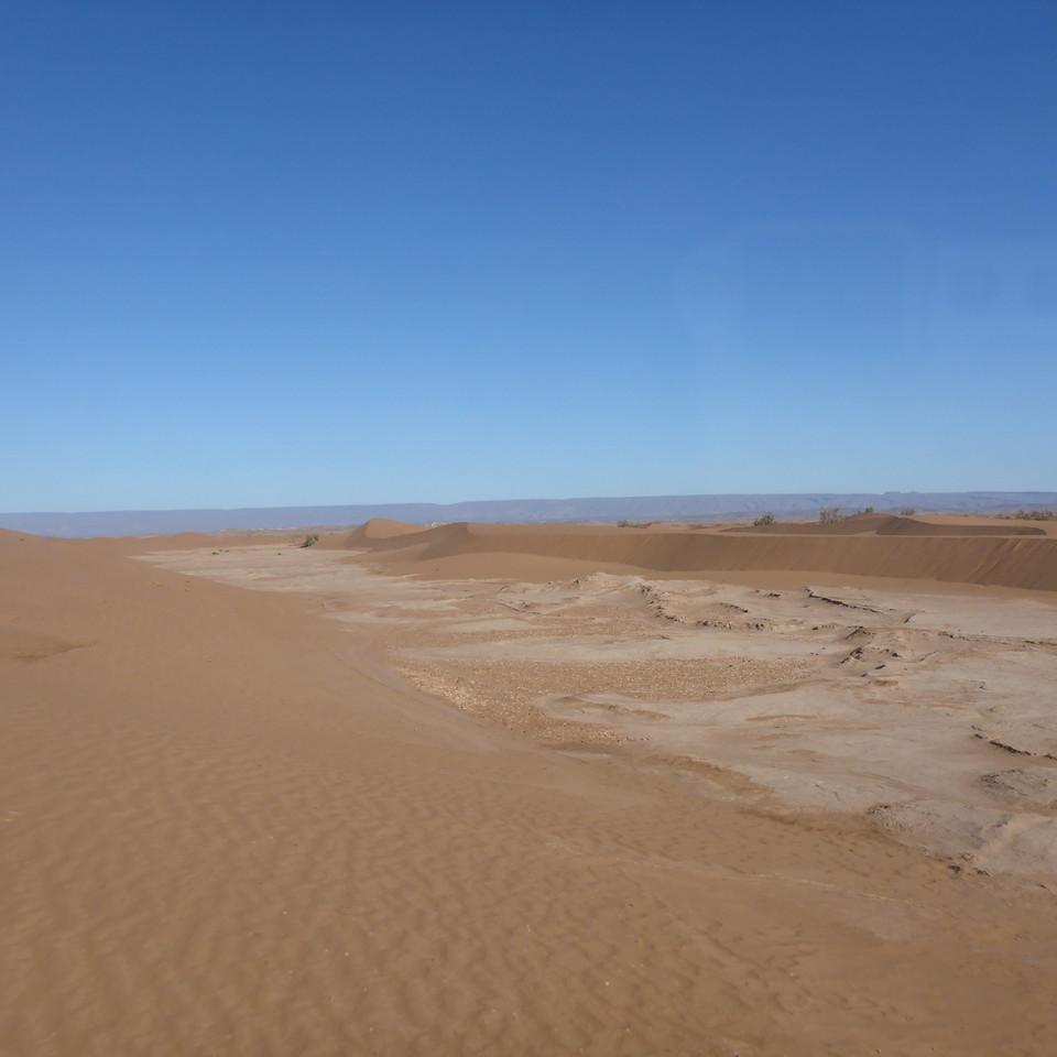 1197.JPG
