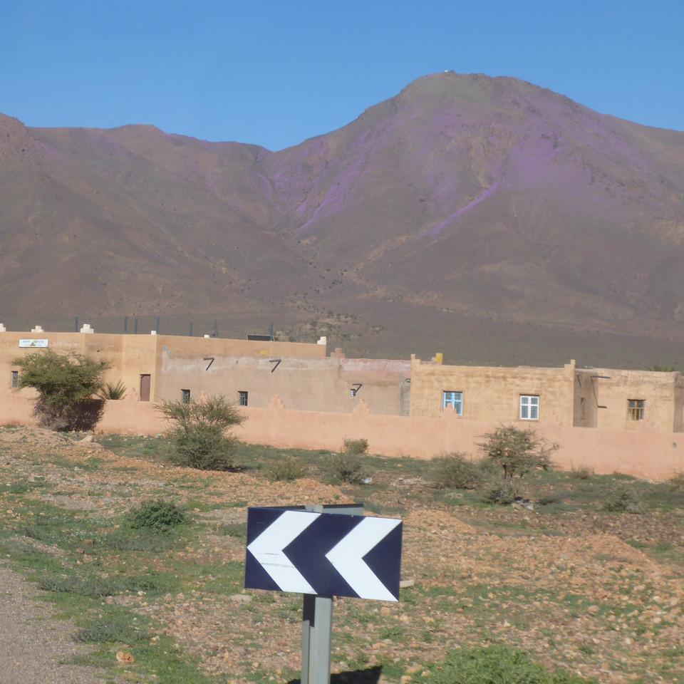 1112.JPG