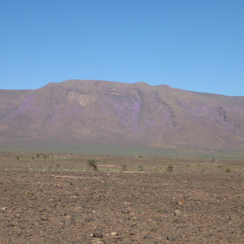 1113.JPG
