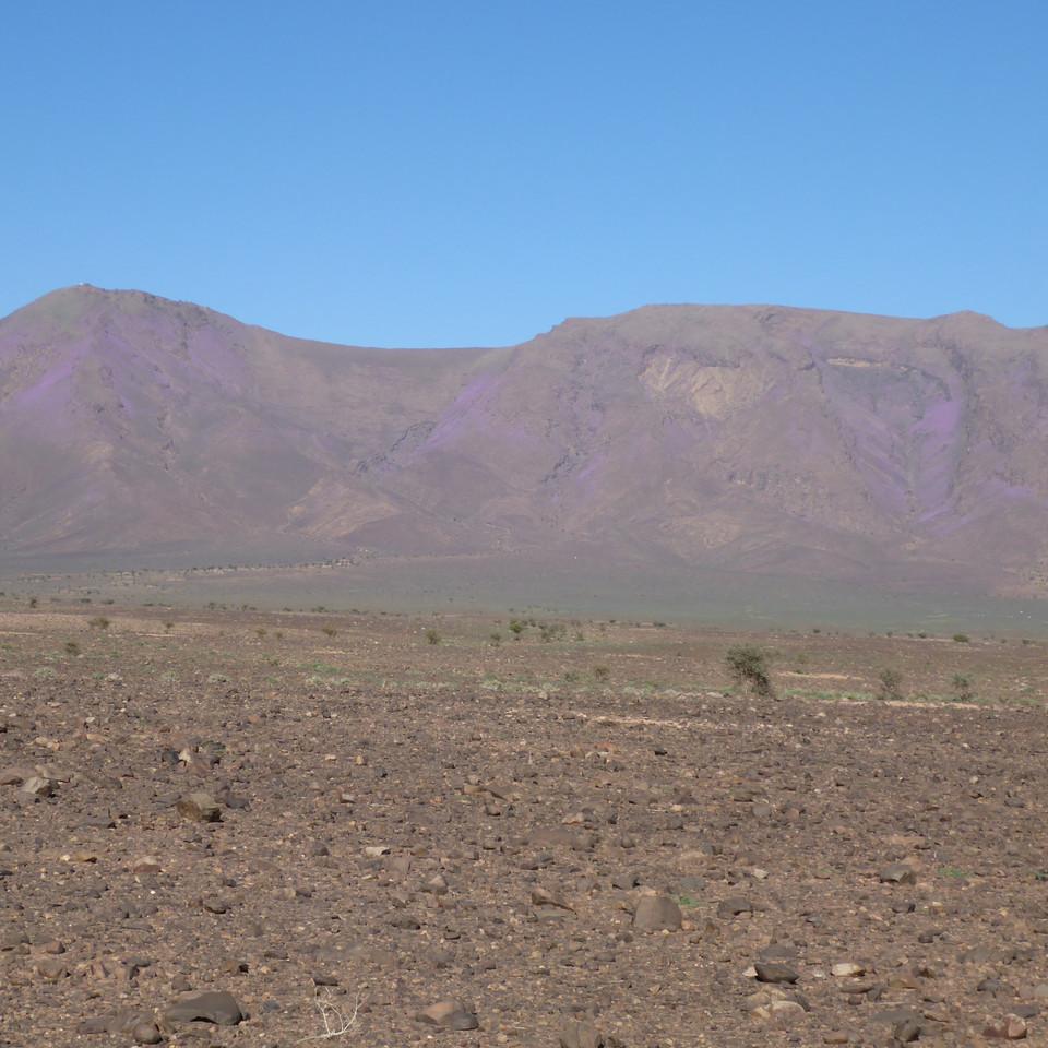 1114.JPG