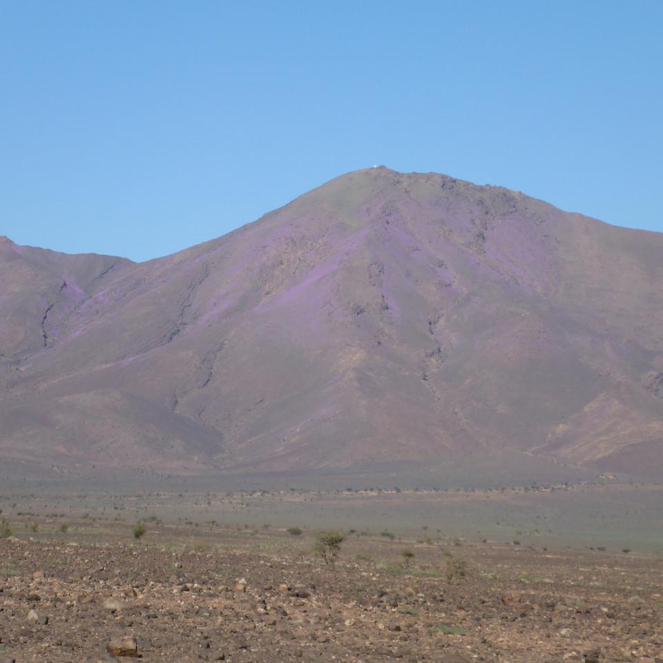 1116.JPG