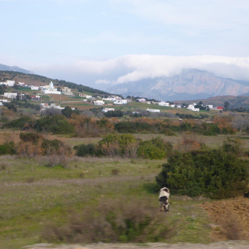 112.JPG