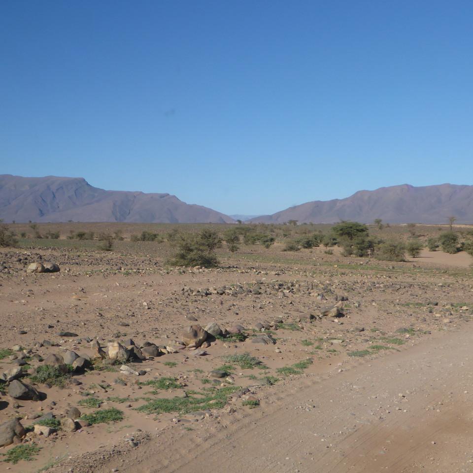 1120.JPG
