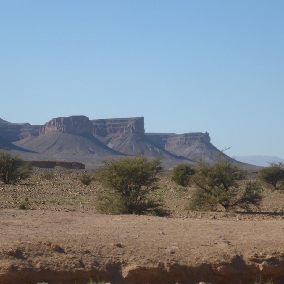 1127.JPG