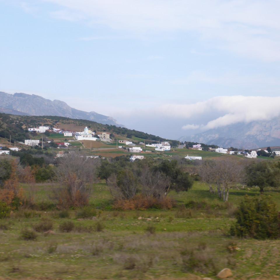 113.JPG