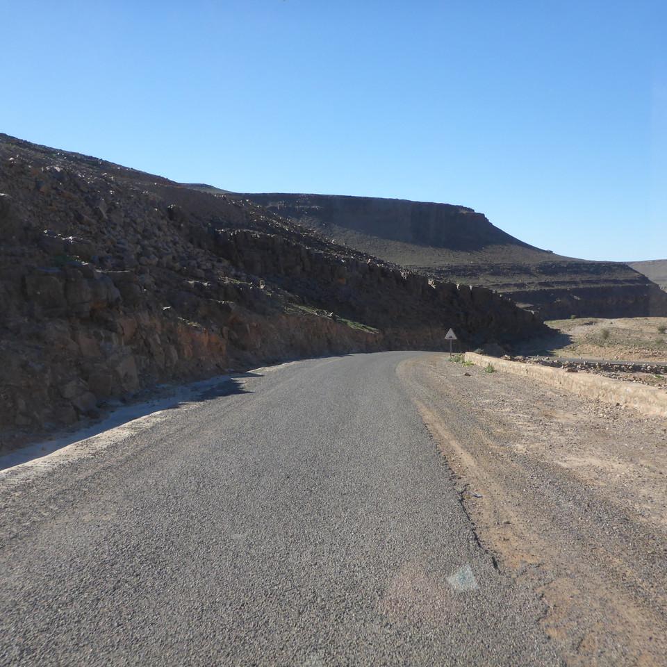 1241.JPG