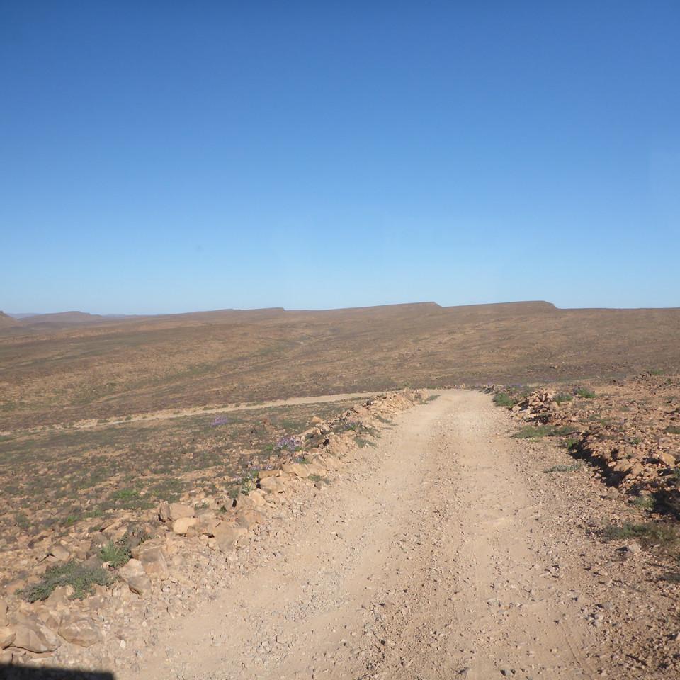 1253.JPG
