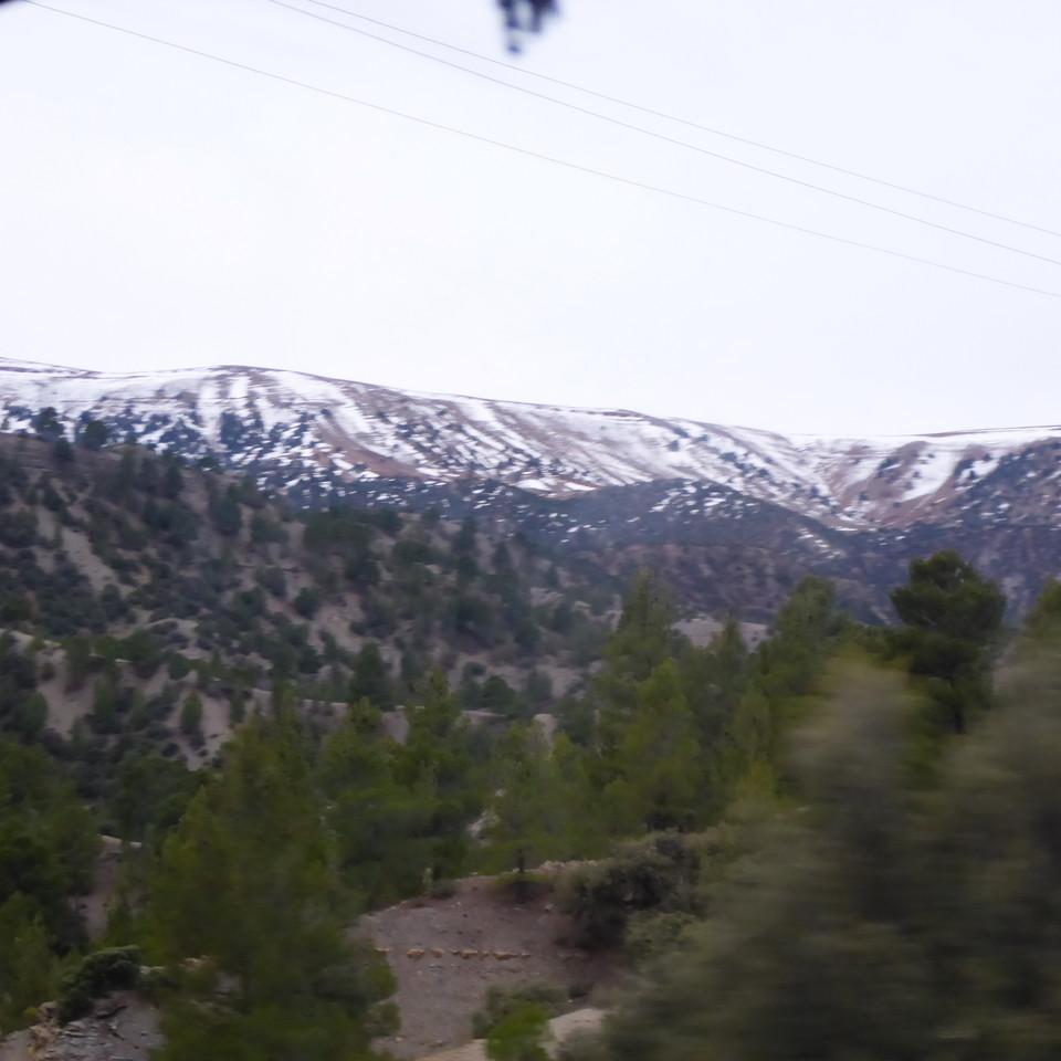 121.JPG