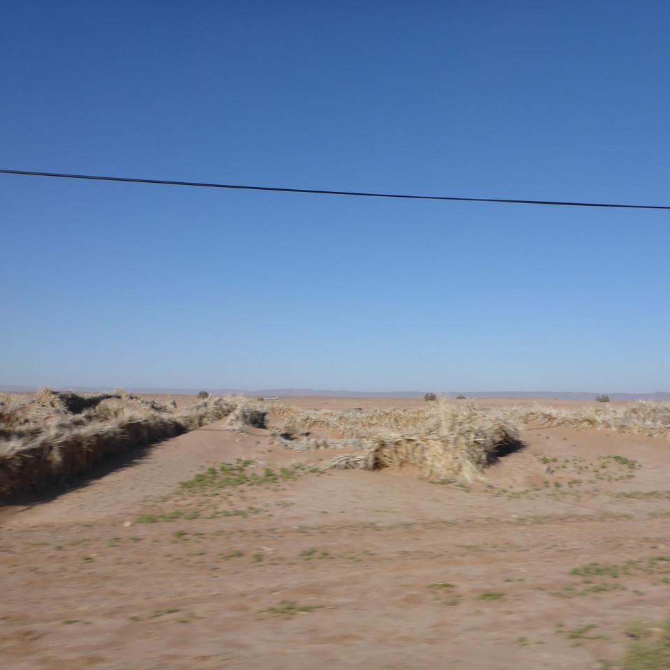 1228.JPG