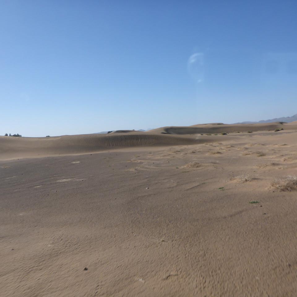 1340.JPG