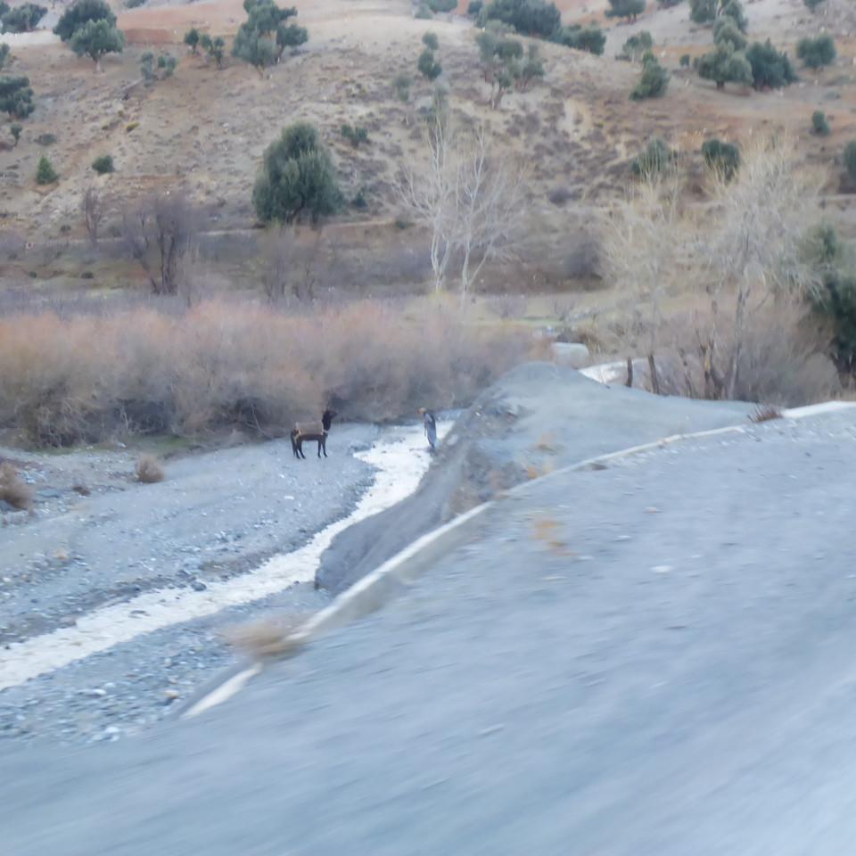 135.JPG