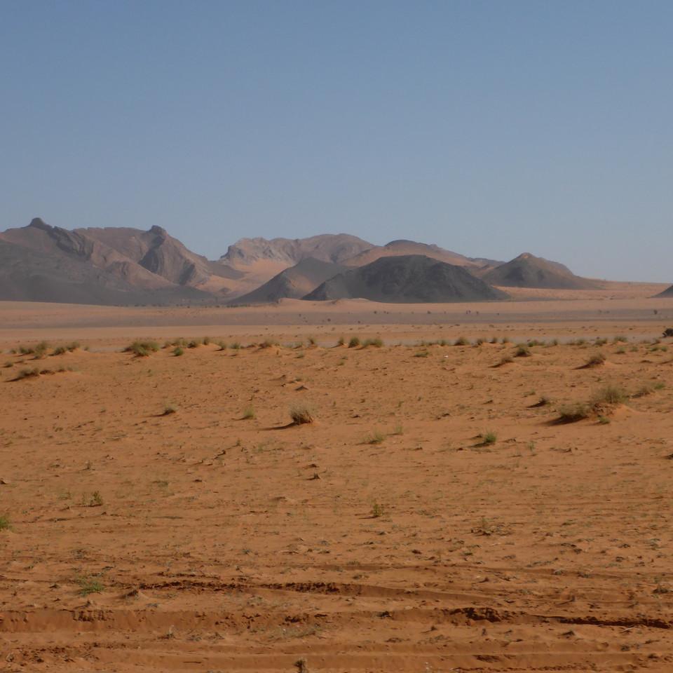 1353.JPG