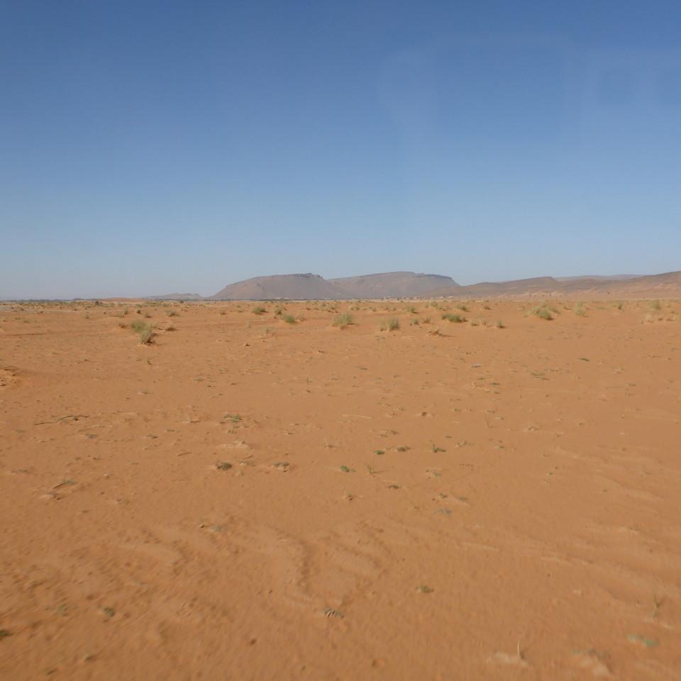 1355.JPG
