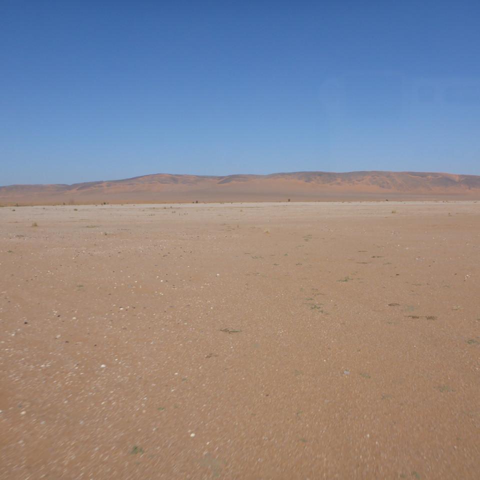 1359.JPG