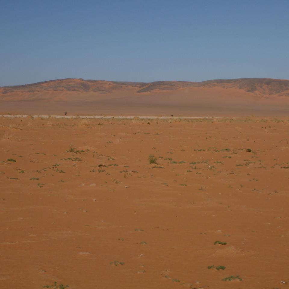 1360.JPG