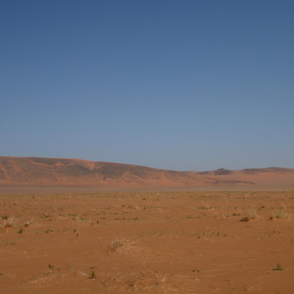 1361.JPG