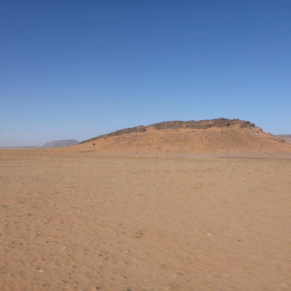 1364.JPG