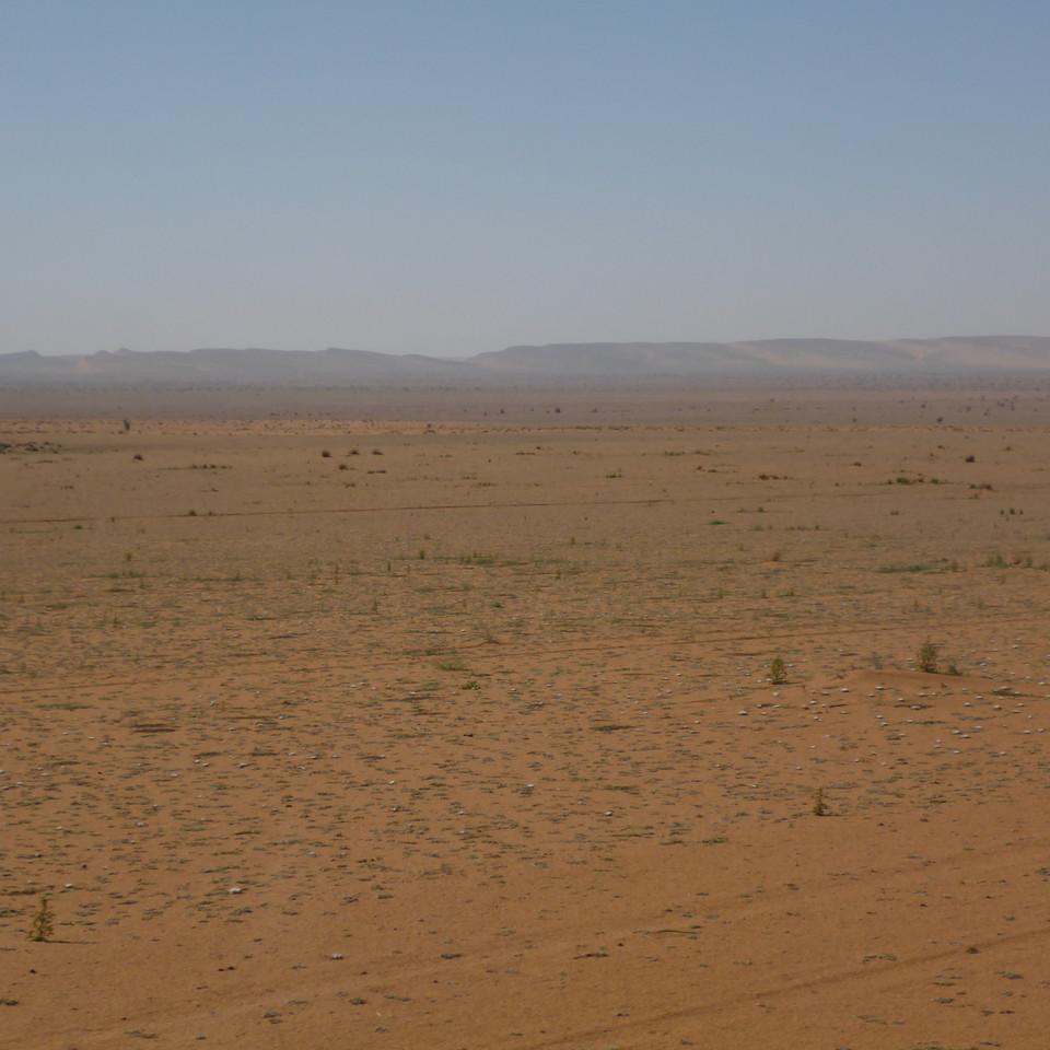 1368.JPG