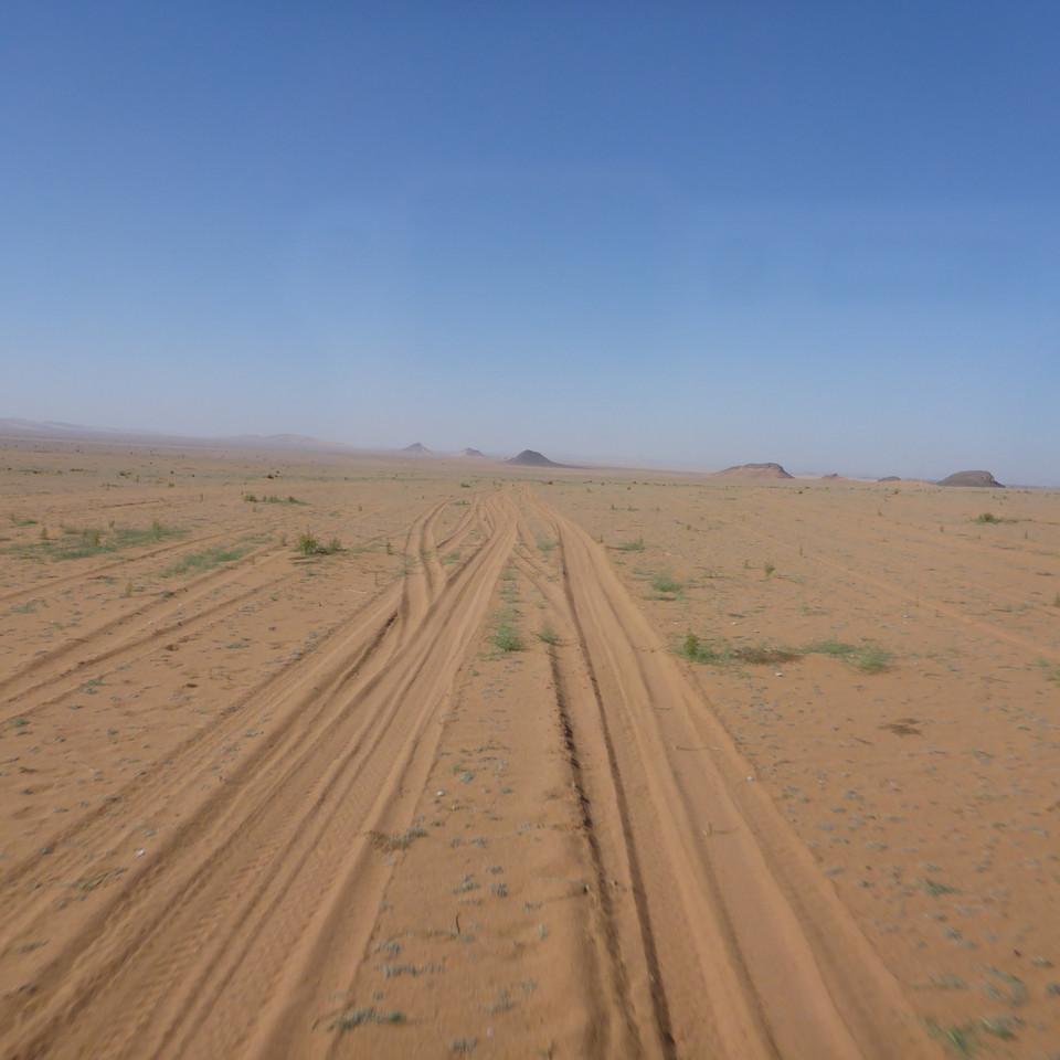 1370.JPG