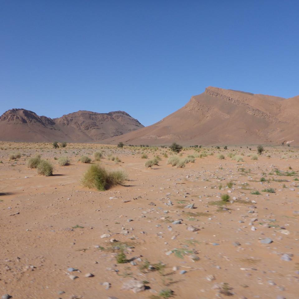 1371.JPG