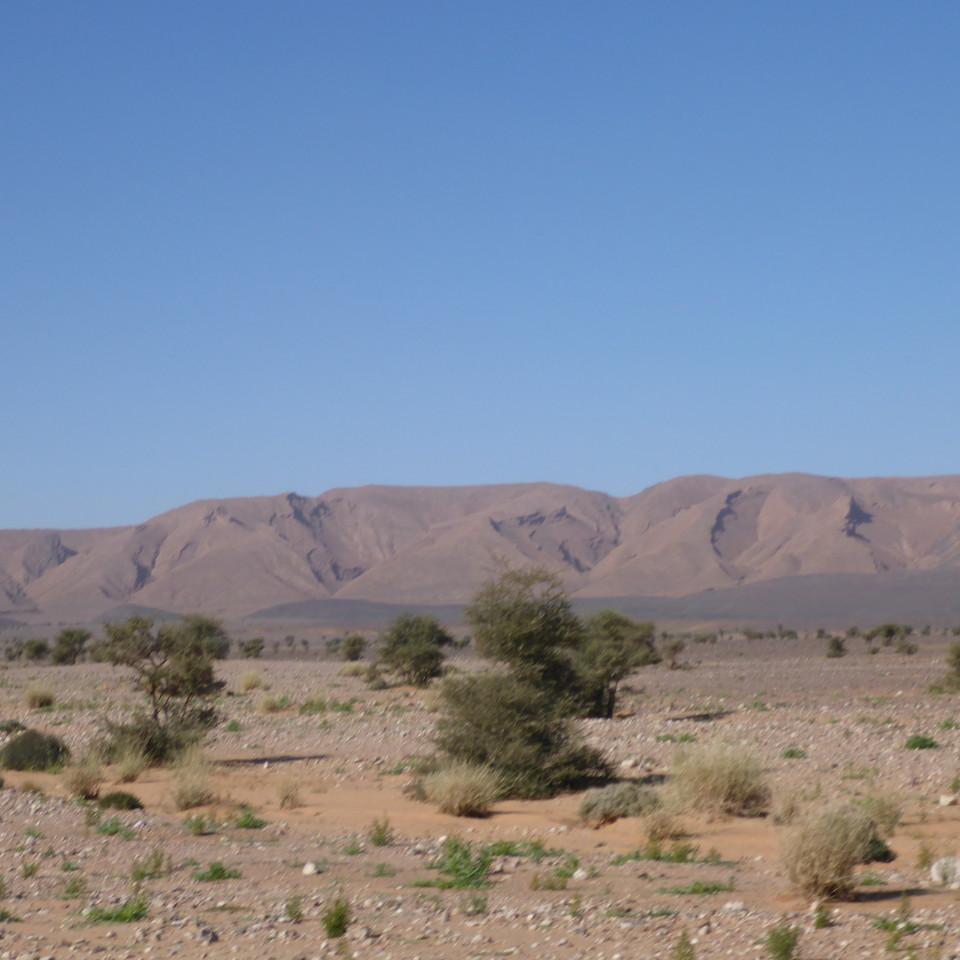 1374.JPG