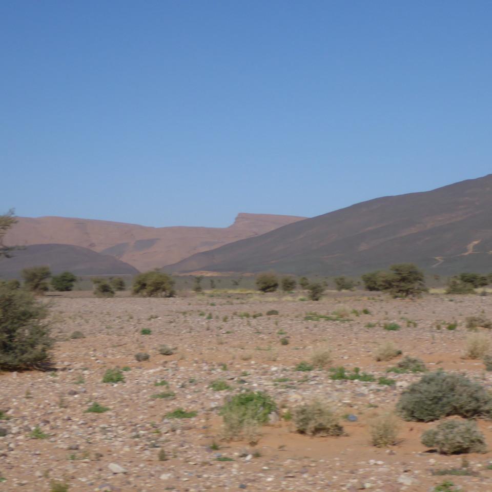 1375.JPG