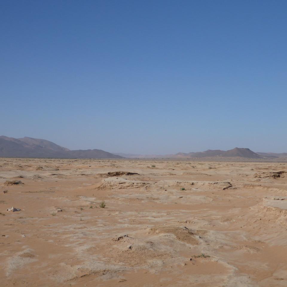 1393.JPG