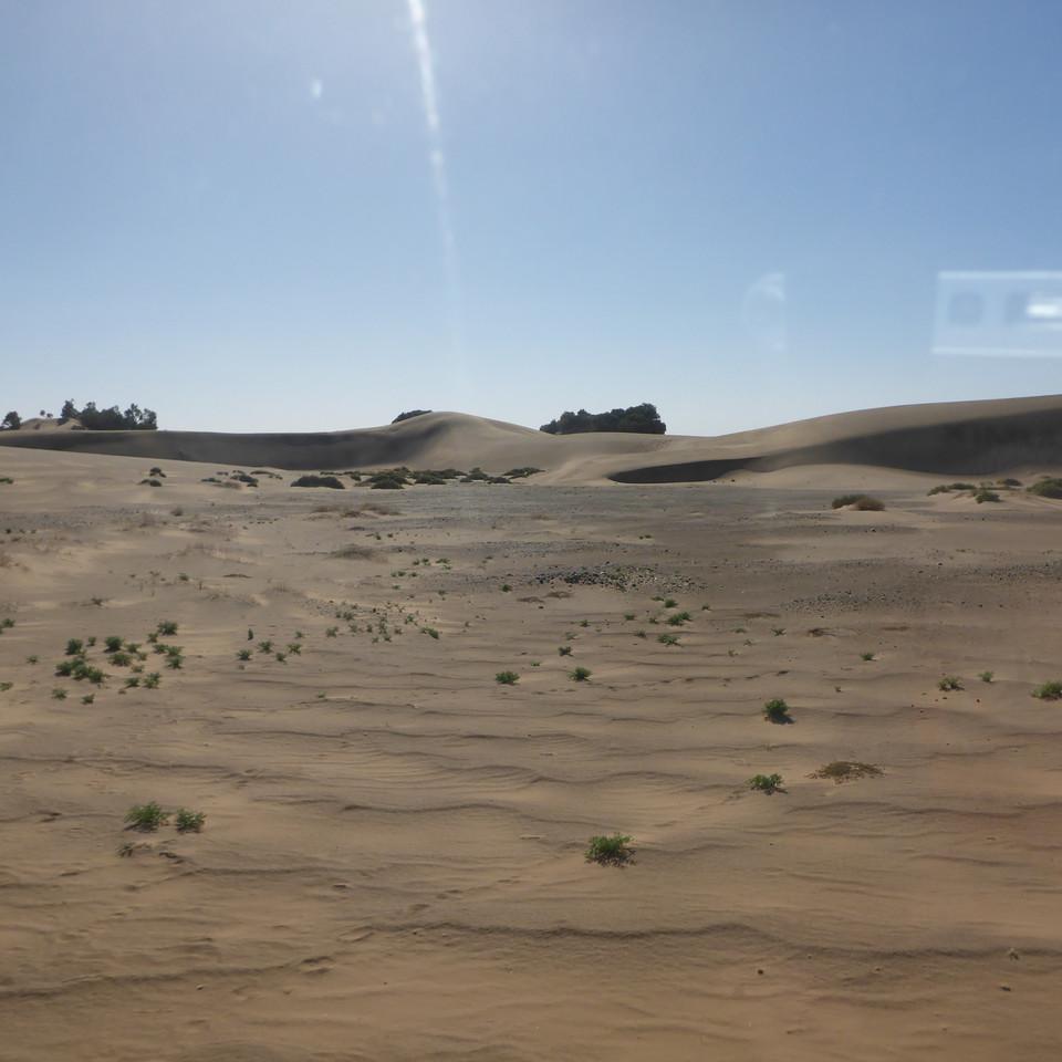 1336.JPG