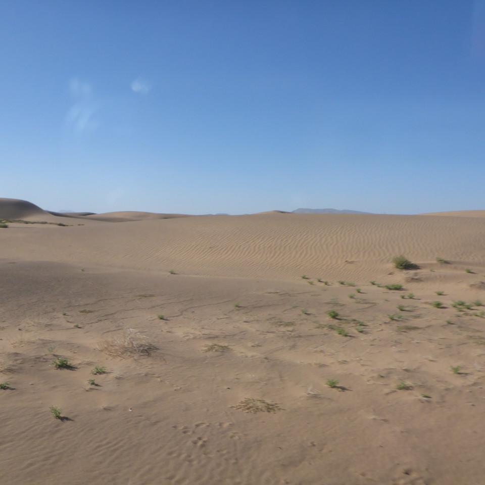 1339.JPG