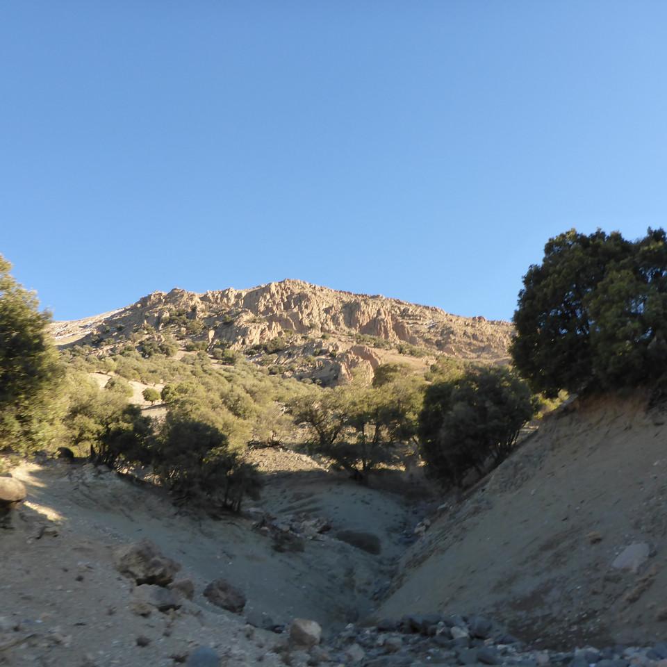 144.JPG