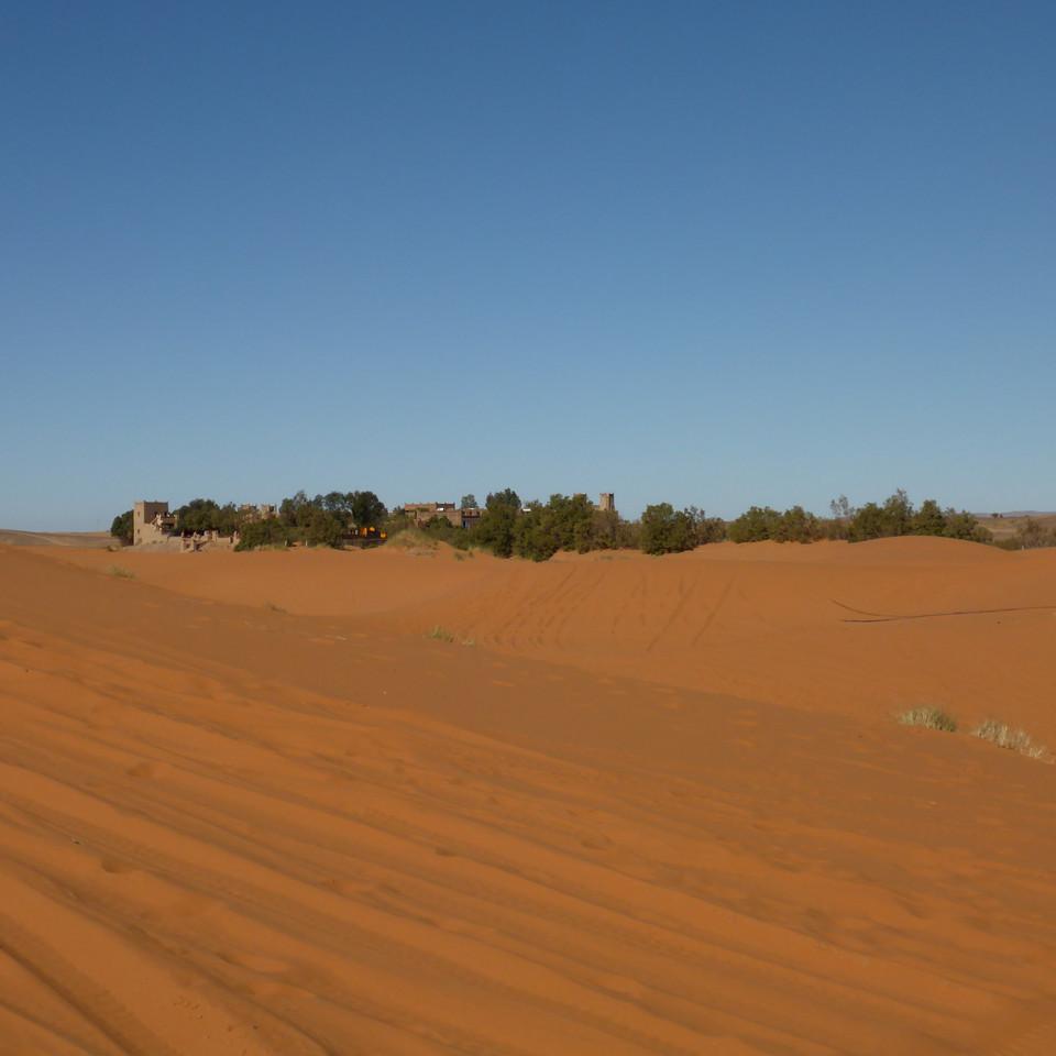 1446.JPG