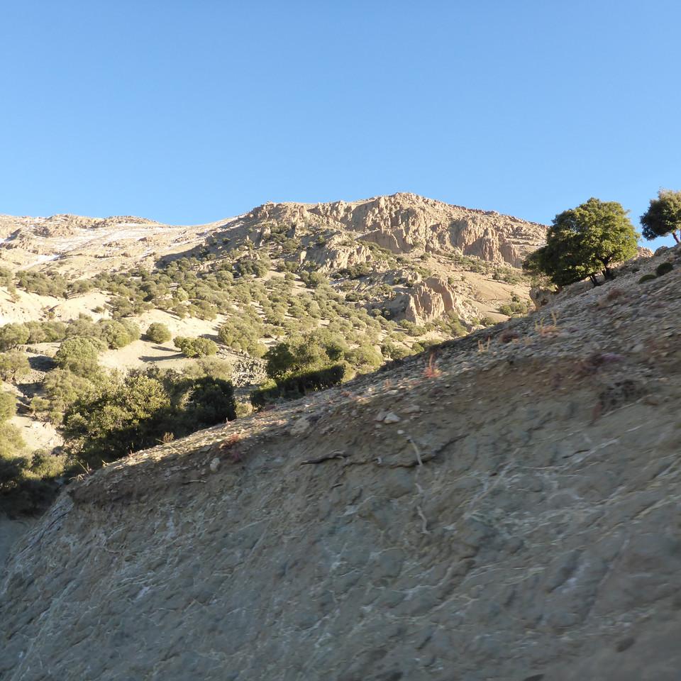 145.JPG