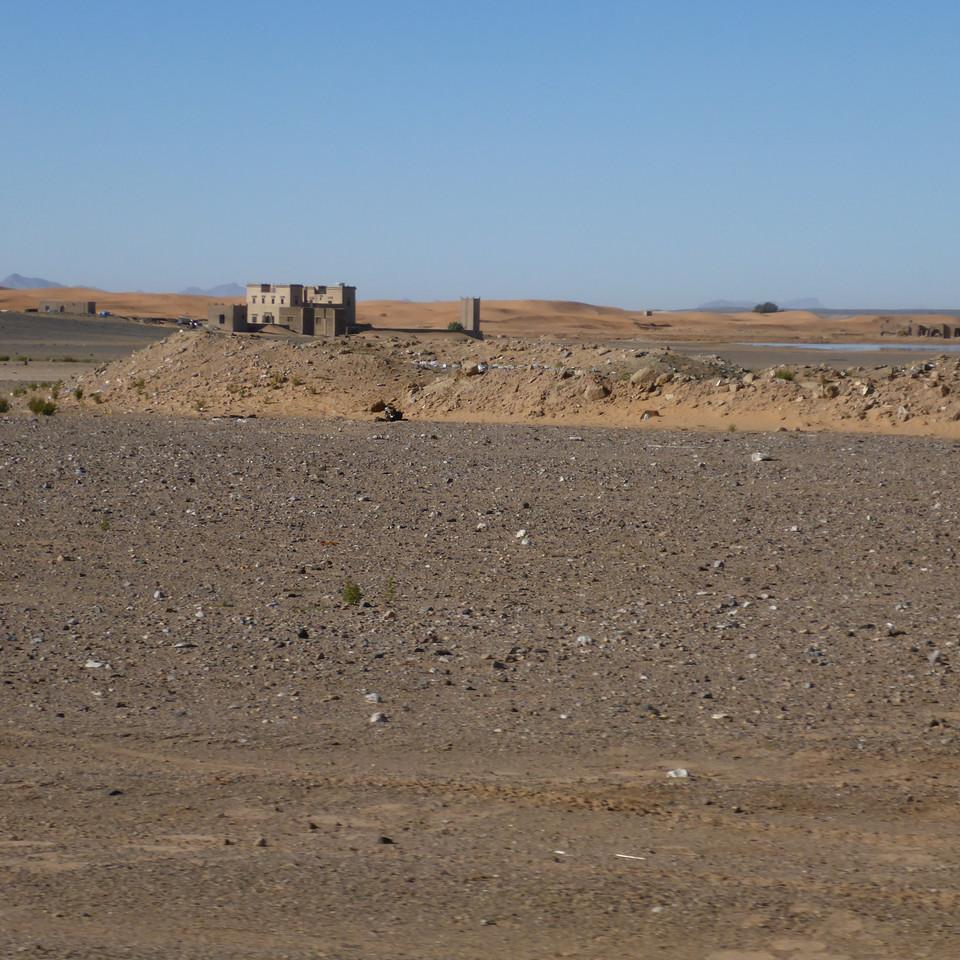 1461.JPG