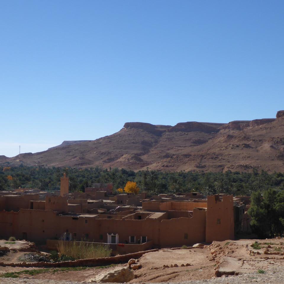 1546.JPG