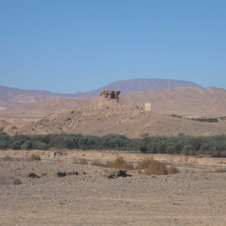1663.JPG